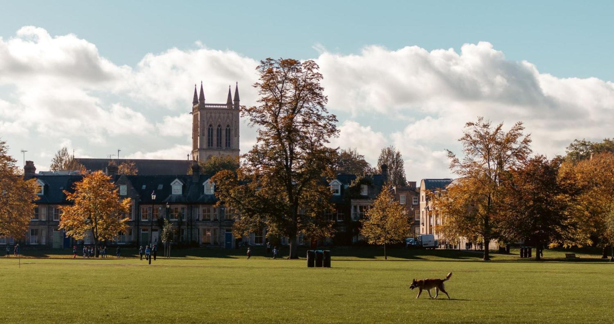 Cambridge Stays - Apartment At Addenbrooke Hospital And Bio Campus - Free Private Parking Εξωτερικό φωτογραφία